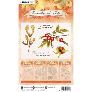 Stempel Beauty of Fall nr.64 "Hagebutten" StudioLight